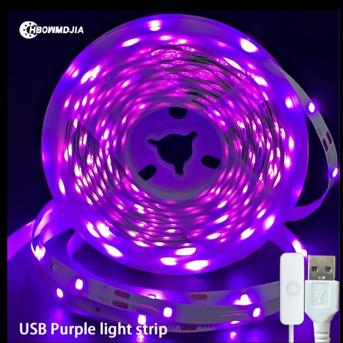 LED Light Bar in Blue & Purple